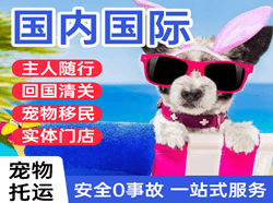 上海虹桥国际宠物托运 【国